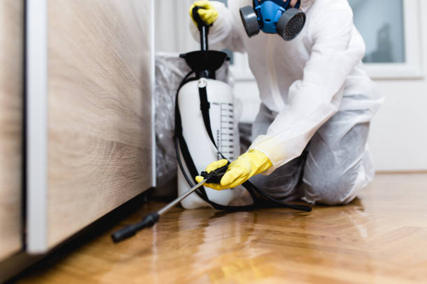 Best Rat Extermination Near Me  in Rossvle, IL