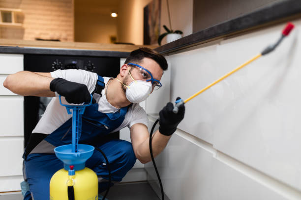 Best Pest Prevention Services  in Rossvle, IL