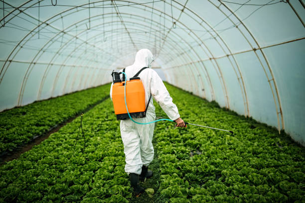 Reliable Rossville, IL Pest Control Solutions