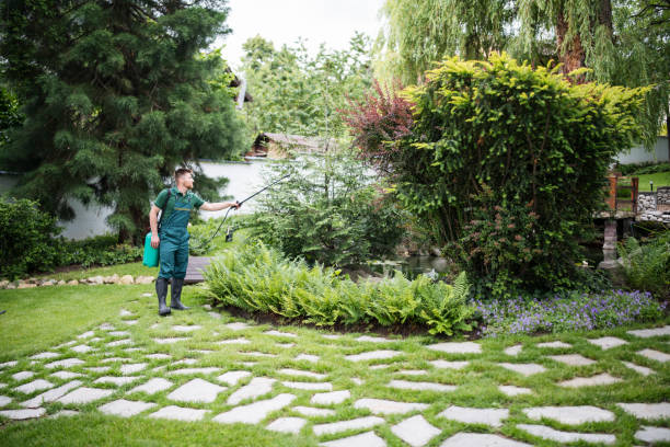 Best Pest Removal Services  in Rossvle, IL