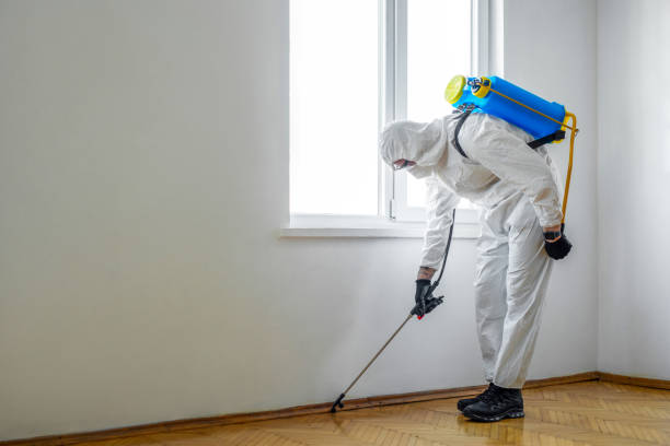 Best Affordable Pest Control Services  in Rossvle, IL