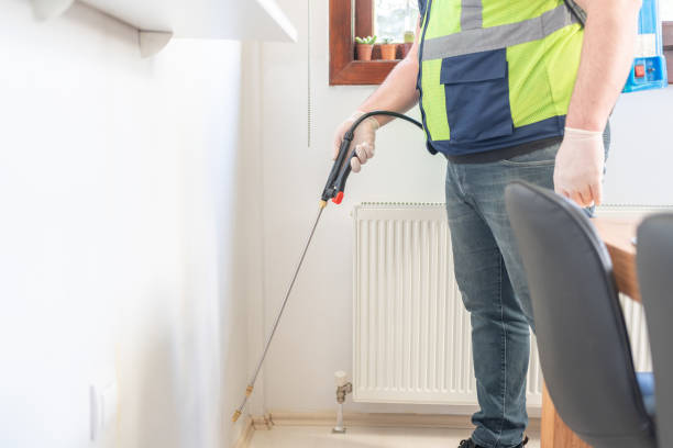 Best Pest Control Near Me  in Rossvle, IL
