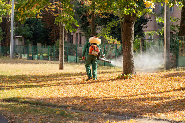 Best Bed Bug Extermination  in Rossvle, IL