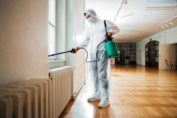 Pest Control for Restaurants in Rossville, IL