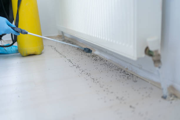 Best Exterminator Services  in Rossvle, IL